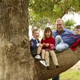 children tree climbing - Maitraya Luxury Private Retreat, Albany